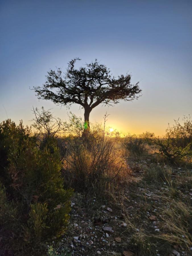 Leopard'S View Mountain Villa @ Steinheim Game Farm & Camping Prospect Екстериор снимка